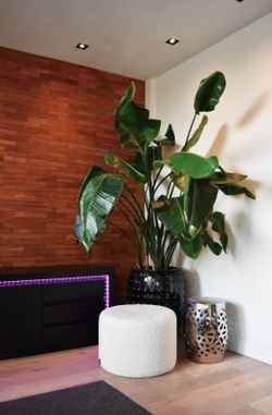 Calex Smart RGB + Vit LED-strip 5 m Calex 429240