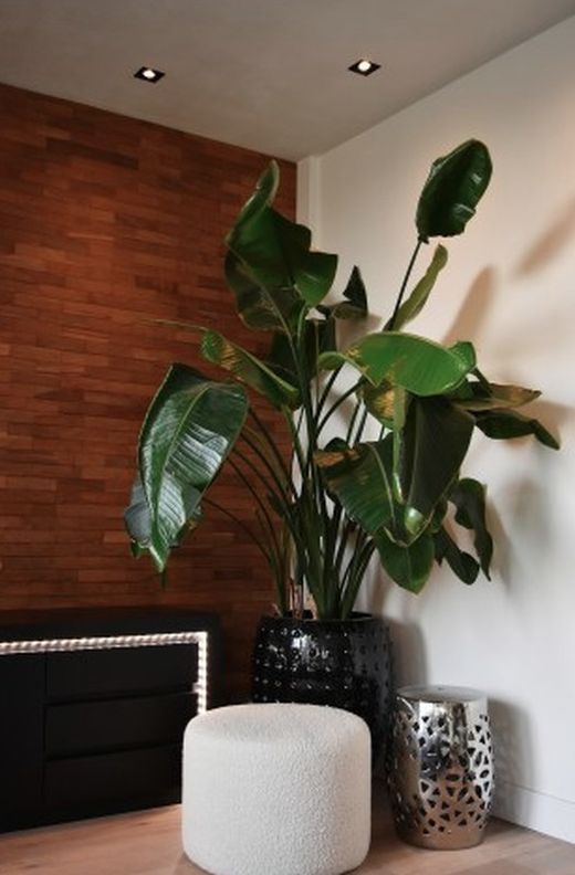 Calex Smart RGB + Vit LED-strip 5 m Calex 429240