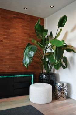 Calex Smart RGB + Vit LED-strip 5 m Calex 429240