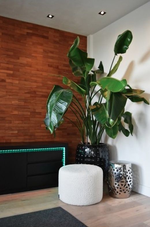 Calex Smart RGB + Vit LED-strip 5 m Calex 429240