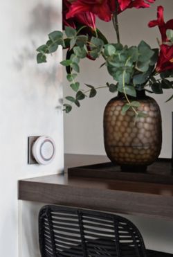 Samart Connect 110dB Calex 429210 Smart Siren